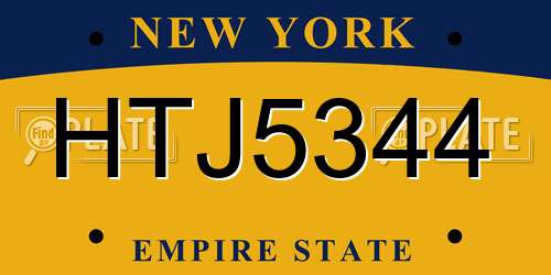 HTJ5344 New York License Plate