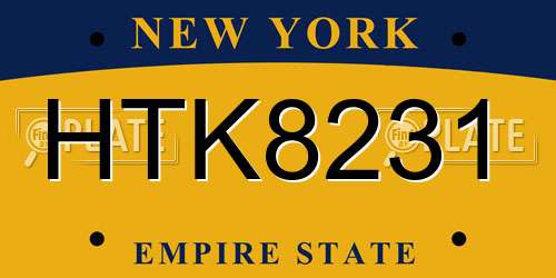 HTK8231 New York License Plate