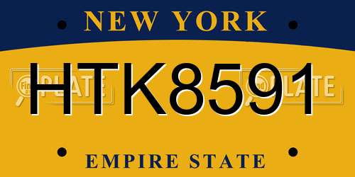 HTK8591 New York License Plate