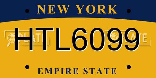 HTL6099 New York License Plate