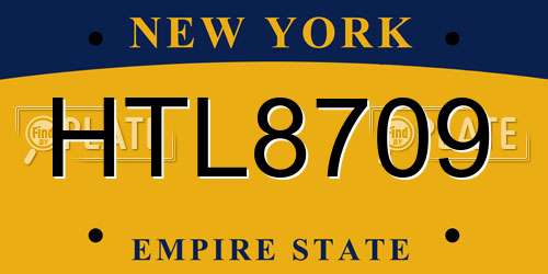 HTL8709 New York License Plate