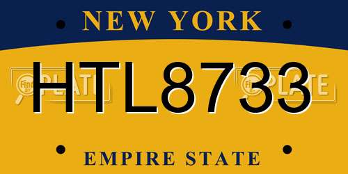 HTL8733 New York License Plate