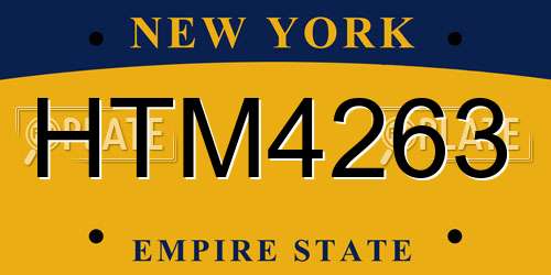 HTM4263 New York License Plate