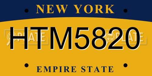 HTM5820 New York License Plate