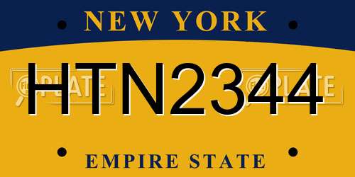 HTN2344 New York License Plate