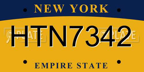 HTN7342 New York License Plate