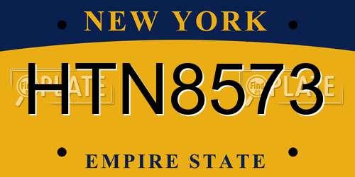 HTN8573 New York License Plate