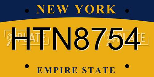 HTN8754 New York License Plate