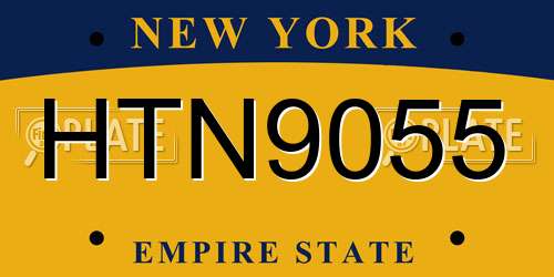 HTN9055 New York License Plate