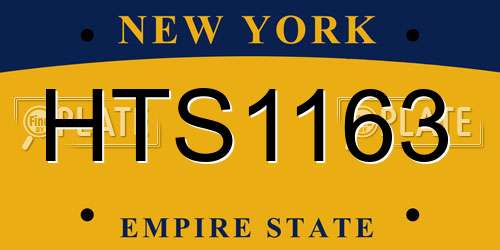 HTS1163 New York License Plate