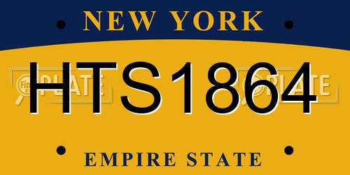 HTS1864 New York License Plate