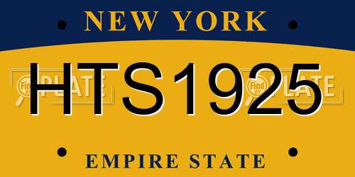 HTS1925 New York License Plate