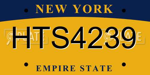 HTS4239 New York License Plate
