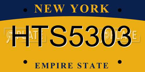 HTS5303 New York License Plate