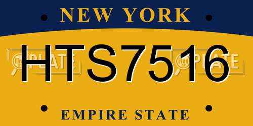 HTS7516 New York License Plate