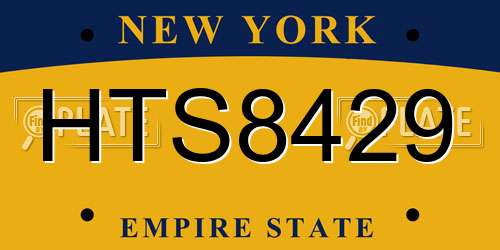 HTS8429 New York License Plate