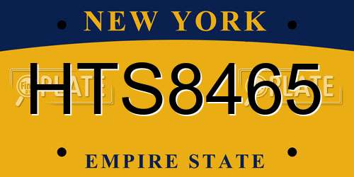 HTS8465 New York License Plate