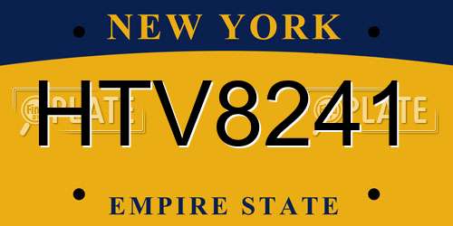 HTV8241 New York License Plate