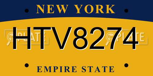 HTV8274 New York License Plate