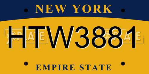 HTW3881 New York License Plate