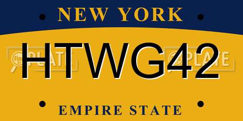 HTWG42 New York License Plate