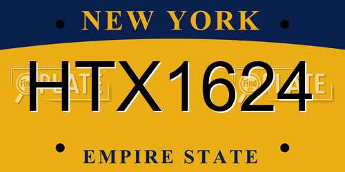 HTX1624 New York License Plate