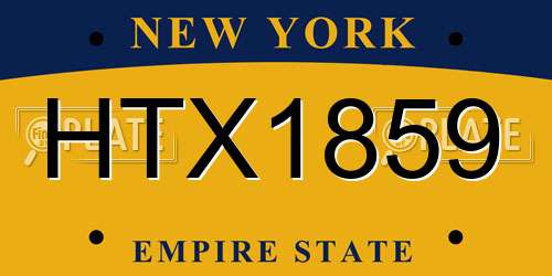 HTX1859 New York License Plate