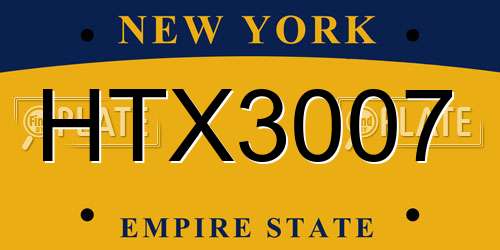 HTX3007 New York License Plate