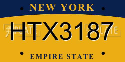 HTX3187 New York License Plate