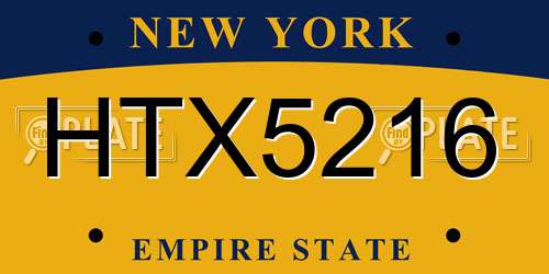 HTX5216 New York License Plate