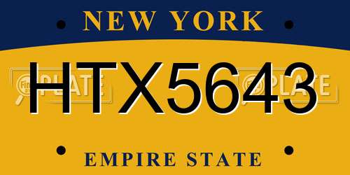 HTX5643 New York License Plate
