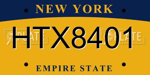 HTX8401 New York License Plate