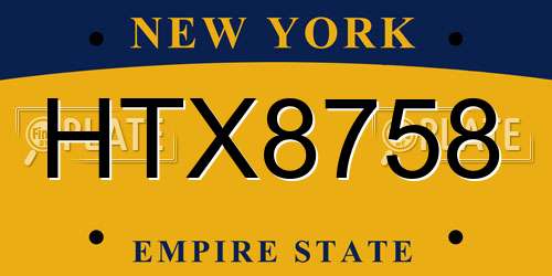 HTX8758 New York License Plate