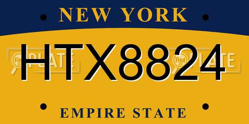 HTX8824 New York License Plate