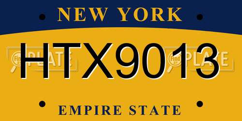 HTX9013 New York License Plate