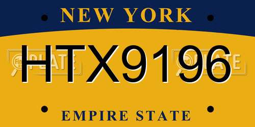 HTX9196 New York License Plate