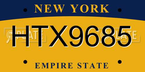 HTX9685 New York License Plate