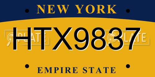 HTX9837 New York License Plate