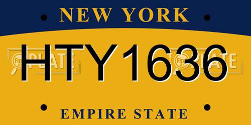 HTY1636 New York License Plate