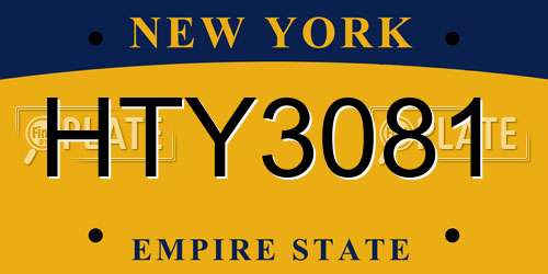 HTY3081 New York License Plate