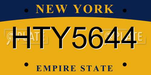 HTY5644 New York License Plate