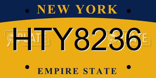 HTY8236 New York License Plate