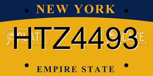 HTZ4493 New York License Plate
