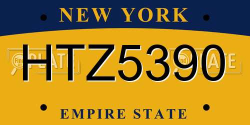 HTZ5390 New York License Plate