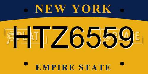 HTZ6559 New York License Plate
