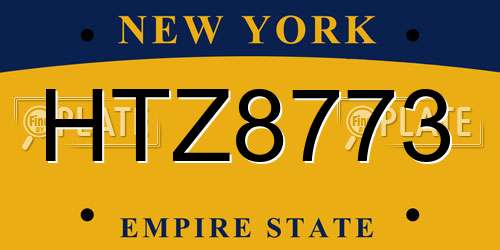 HTZ8773 New York License Plate