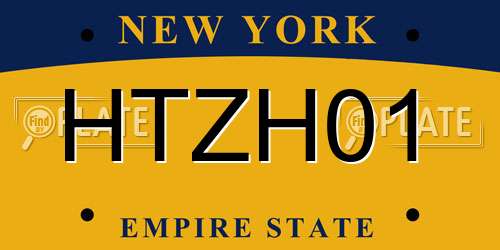 HTZH01 New York License Plate