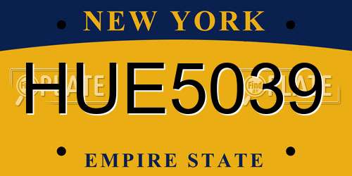 HUE5039 New York License Plate