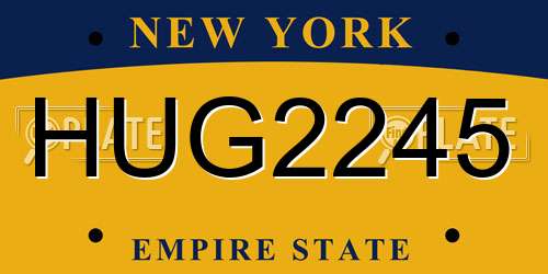 HUG2245 New York License Plate