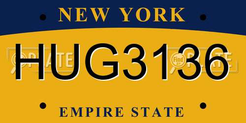 HUG3136 New York License Plate